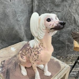 Скульптура: Китайская Хохлатая Скульптура: Китайская Хохлатая